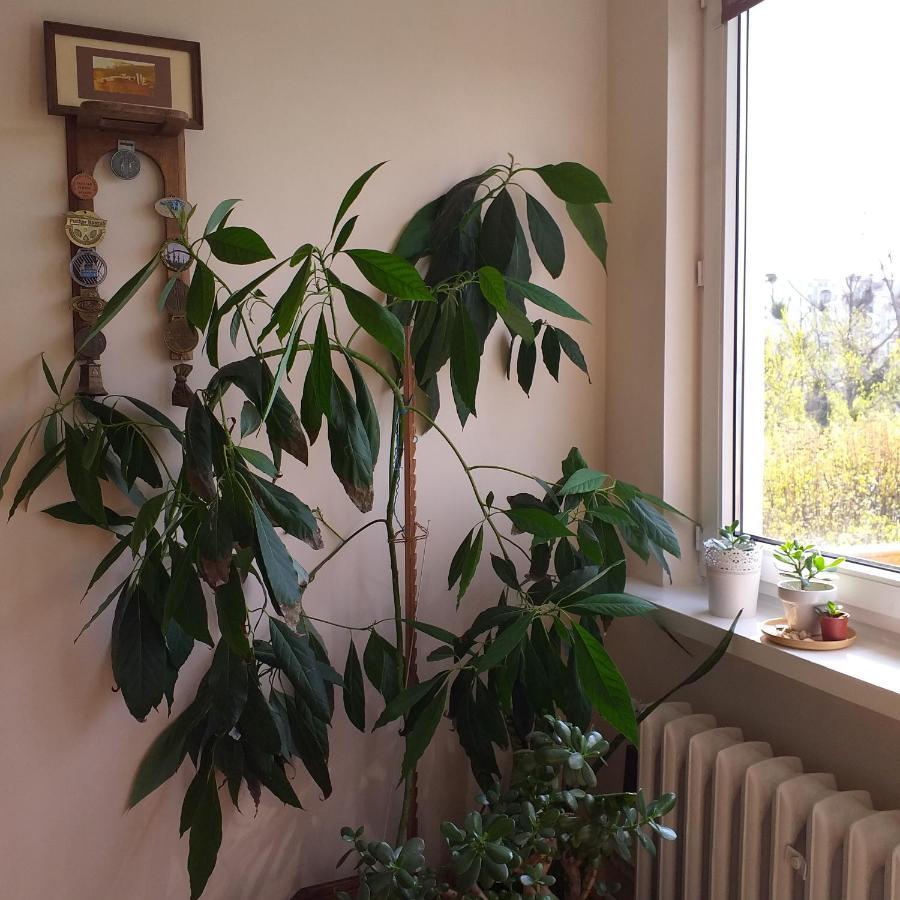Wakacje Nad Morzem Gdaňsk Exteriér fotografie